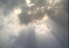 Sun Rays