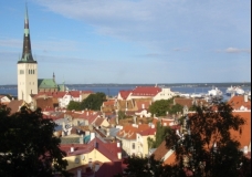 Rooftop Panorama