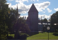 View from my bedroom window