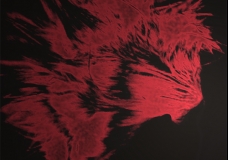 Bang