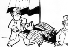 Bird Flu Reaches Egypt?