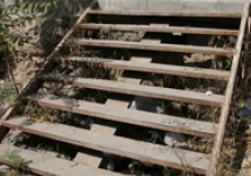 Going Upstairs