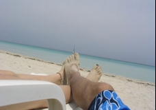Beach Bum