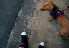 Walk Me
