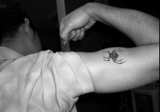 Spider Man