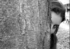 Tree as a Guide