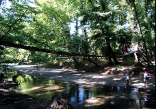 Crossing Over