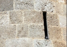 Peeping Tom Bird