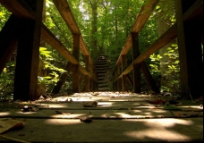 Park Yourself Here
