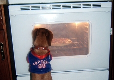 Pizza Lover