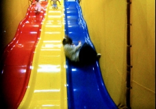 Slip n' Slide