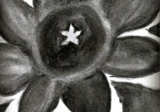 Dark Flower