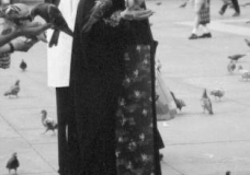 pigeons of freedom...