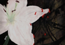 White Flower