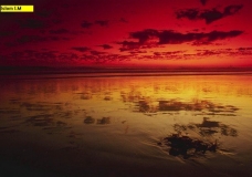 Silence