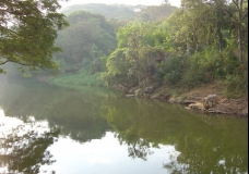 Peaceful Canal in Sanjay Gandhi National Park