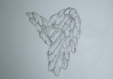 Angel Wings