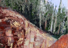 Sedona Gully
