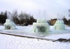 Frozen Beauty