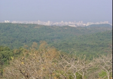 City Skyline