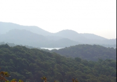The Vihar Lake