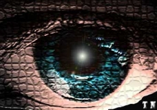 Eye of Critical Thought