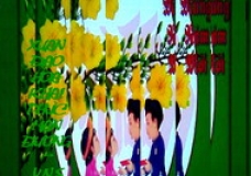 VN Lunar New Year (TET)