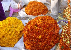 Marigold Garlands
