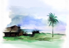 Summer In Kerala