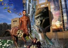 IMAge ASUivre