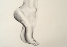Arched Foot