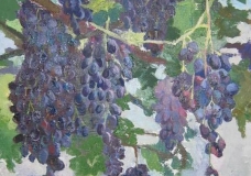 Grapes