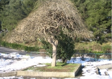 Standing Alone In A Cold Day