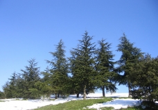 Winter Time In Istanbul