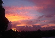 My Island Paradise-Home Sweet Home!