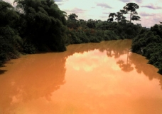 Mud river