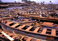Elmina Boat Park