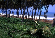 Ghana's club-Med2 :oP