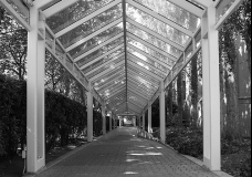 Path