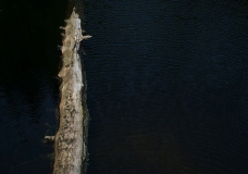 Adrift