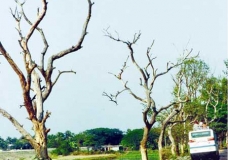 Nature is Not Out of Disability, Need More Attention and Care