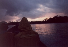 Caribbean Rainforest Wakes Up