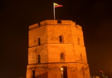 Hilltop Castle Turret