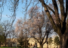 April u Beogradu