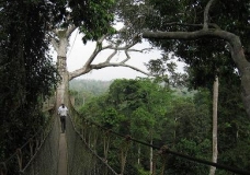 Gahna - Kakum N.Park