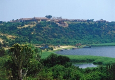 The Hill
