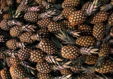 Pineapples