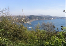 Spring in Istanbul