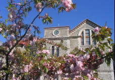 Albert Long Hall in Spring