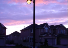 Twilight in the Suburbs